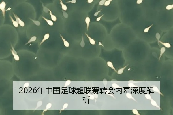 2026年中国足球超联赛转会内幕深度解析